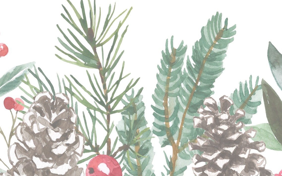 Limited Edition Holiday Collection