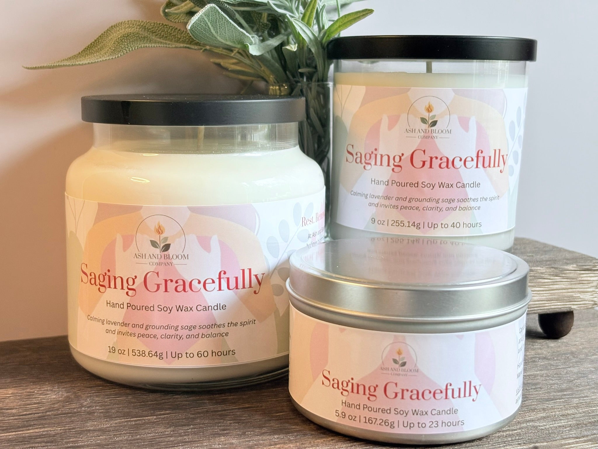 Three 'Saging Gracefully' candles of different sizes on a wooden surface with a plant in the background.